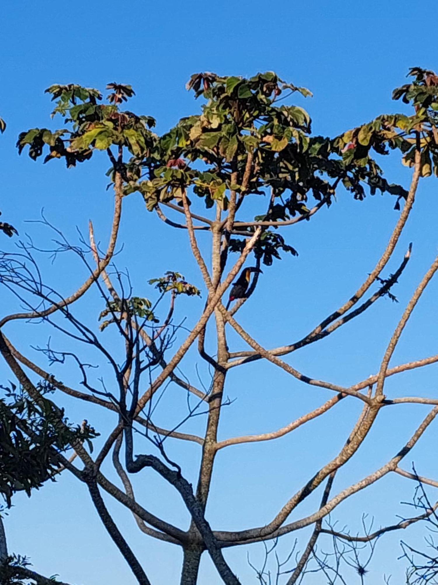 Chalé na montanha em meio a natureza Florianópolis Esterno foto